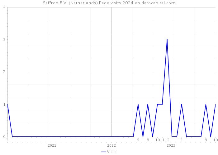 Saffron B.V. (Netherlands) Page visits 2024 