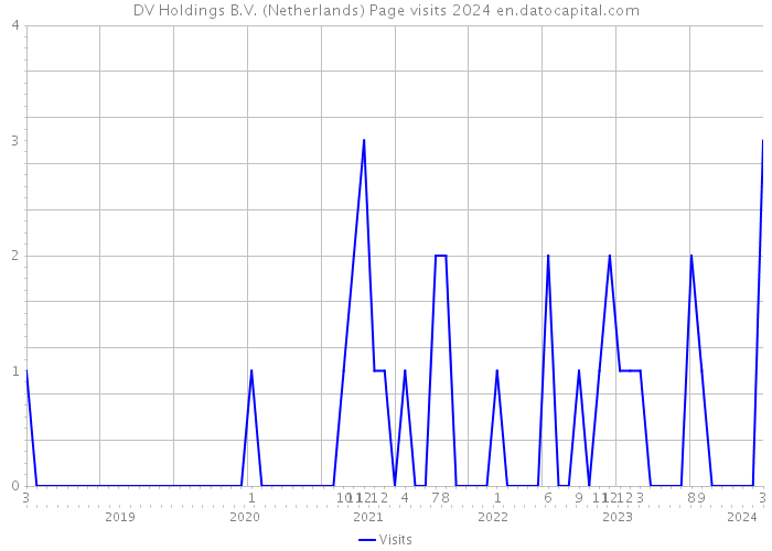 DV Holdings B.V. (Netherlands) Page visits 2024 