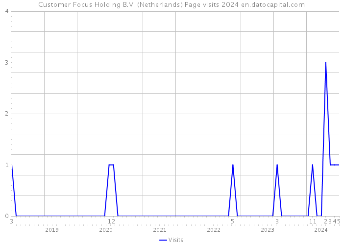 Customer Focus Holding B.V. (Netherlands) Page visits 2024 