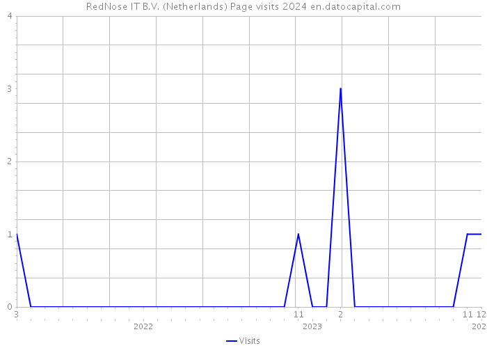 RedNose IT B.V. (Netherlands) Page visits 2024 