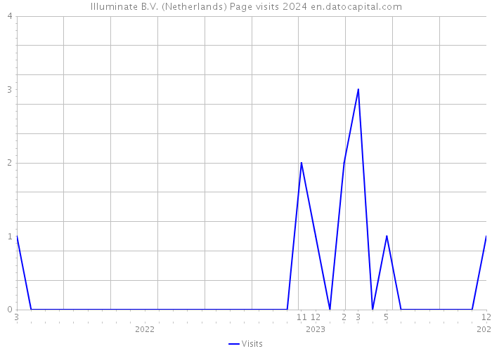 Illuminate B.V. (Netherlands) Page visits 2024 