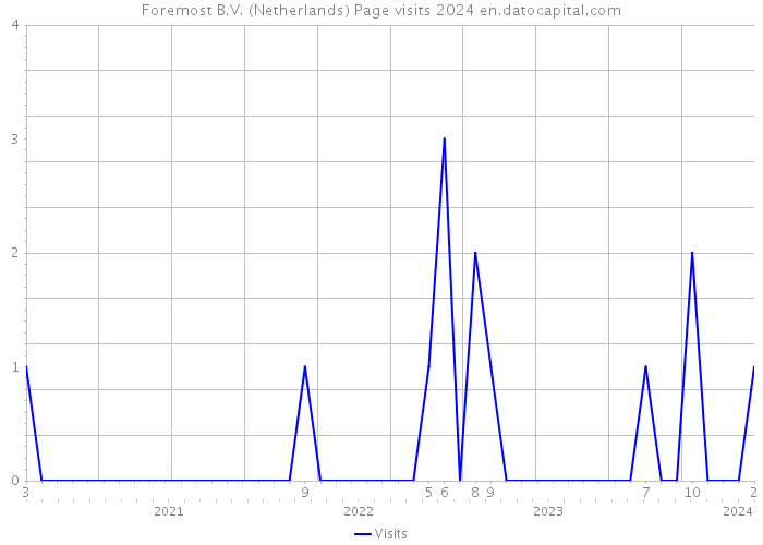 Foremost B.V. (Netherlands) Page visits 2024 