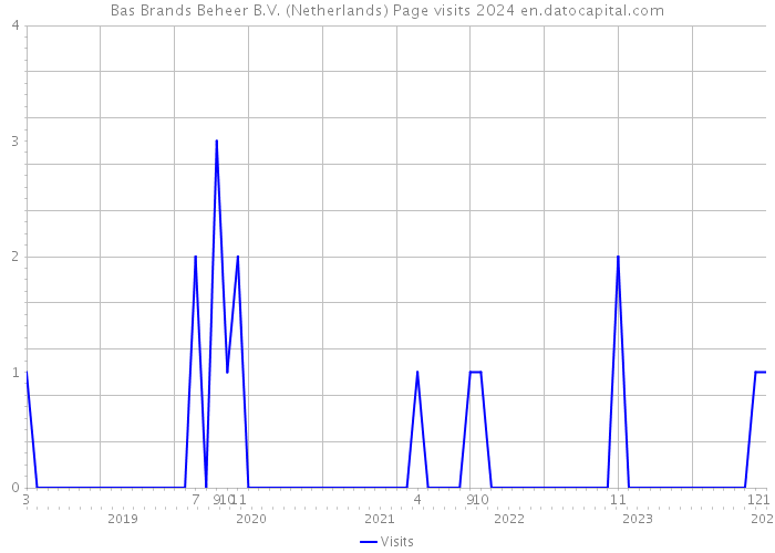Bas Brands Beheer B.V. (Netherlands) Page visits 2024 