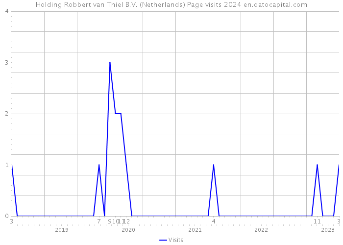 Holding Robbert van Thiel B.V. (Netherlands) Page visits 2024 