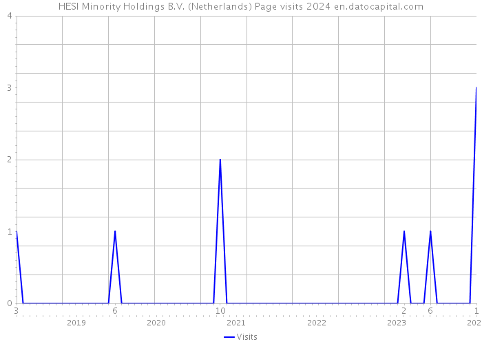 HESI Minority Holdings B.V. (Netherlands) Page visits 2024 