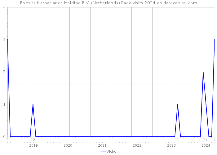 Fortura Netherlands Holding B.V. (Netherlands) Page visits 2024 