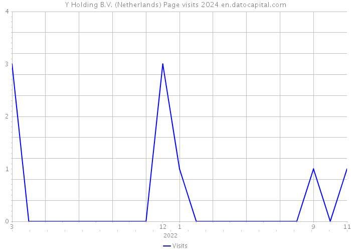 Y Holding B.V. (Netherlands) Page visits 2024 