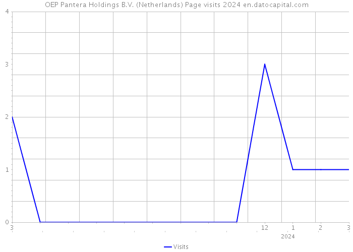 OEP Pantera Holdings B.V. (Netherlands) Page visits 2024 