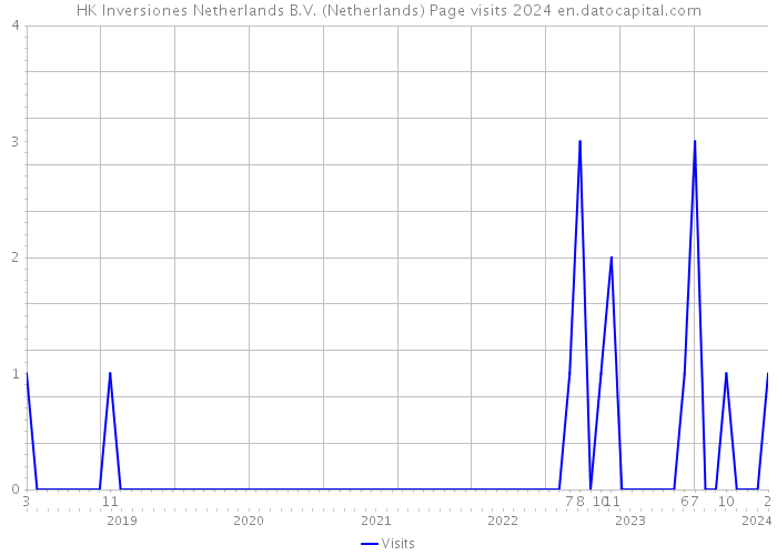 HK Inversiones Netherlands B.V. (Netherlands) Page visits 2024 