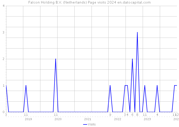Falcon Holding B.V. (Netherlands) Page visits 2024 