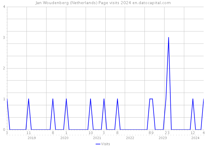 Jan Woudenberg (Netherlands) Page visits 2024 