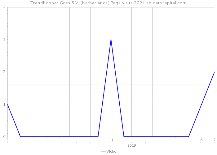 Trendhopper Goes B.V. (Netherlands) Page visits 2024 