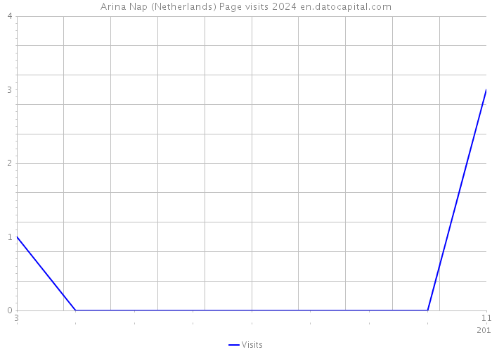 Arina Nap (Netherlands) Page visits 2024 