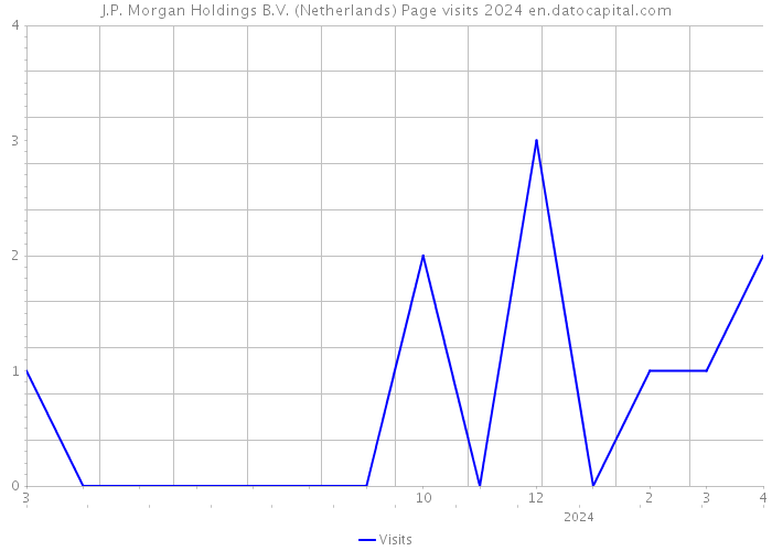 J.P. Morgan Holdings B.V. (Netherlands) Page visits 2024 