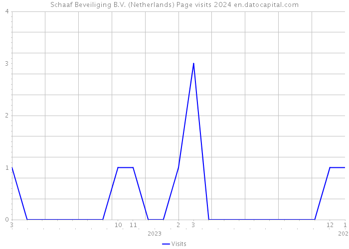 Schaaf Beveiliging B.V. (Netherlands) Page visits 2024 