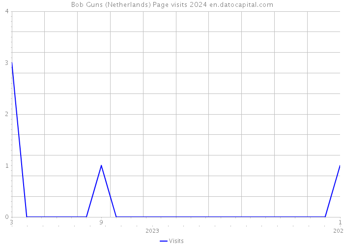 Bob Guns (Netherlands) Page visits 2024 