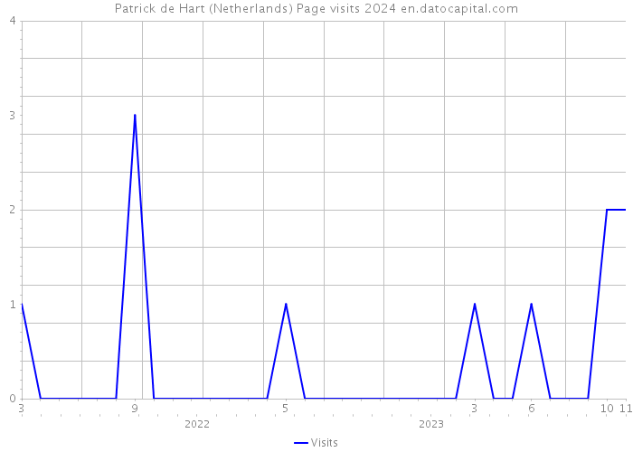 Patrick de Hart (Netherlands) Page visits 2024 