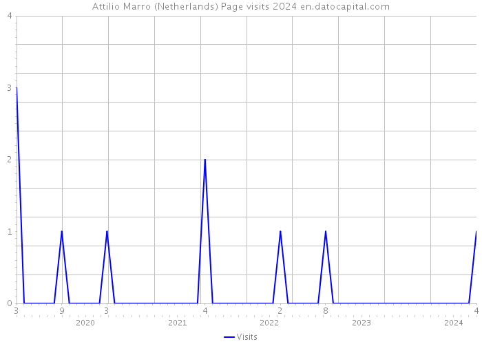 Attilio Marro (Netherlands) Page visits 2024 