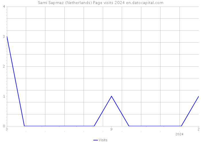 Sami Sapmaz (Netherlands) Page visits 2024 