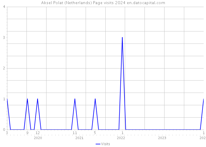 Aksel Polat (Netherlands) Page visits 2024 