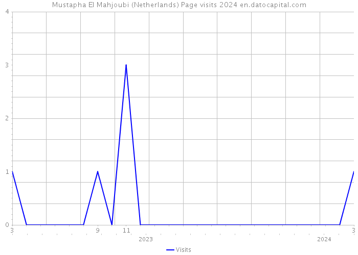 Mustapha El Mahjoubi (Netherlands) Page visits 2024 