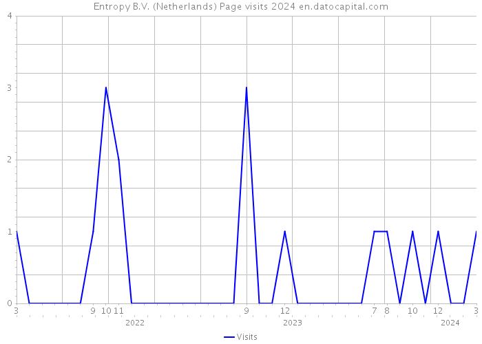 Entropy B.V. (Netherlands) Page visits 2024 
