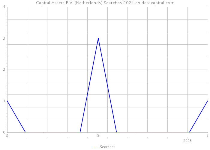 Capital Assets B.V. (Netherlands) Searches 2024 