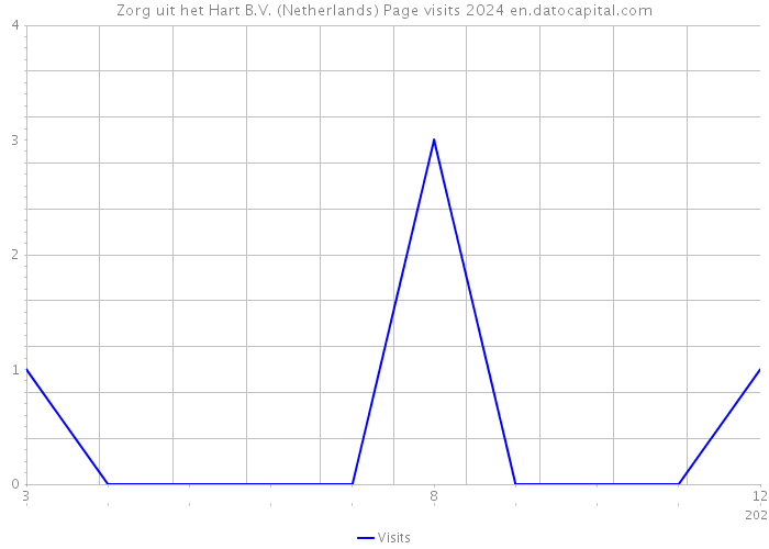 Zorg uit het Hart B.V. (Netherlands) Page visits 2024 