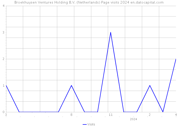 Broekhuysen Ventures Holding B.V. (Netherlands) Page visits 2024 