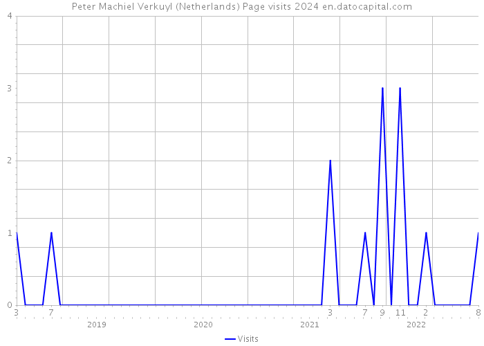 Peter Machiel Verkuyl (Netherlands) Page visits 2024 
