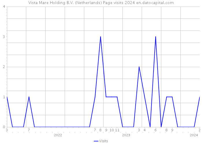Vista Mare Holding B.V. (Netherlands) Page visits 2024 