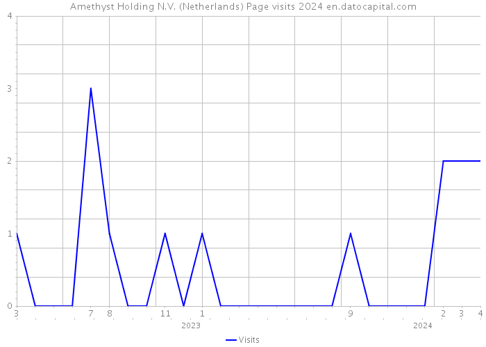 Amethyst Holding N.V. (Netherlands) Page visits 2024 