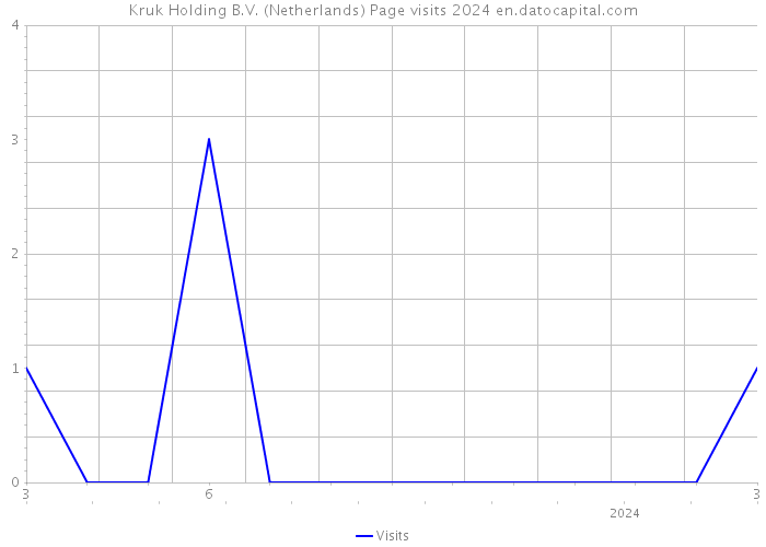 Kruk Holding B.V. (Netherlands) Page visits 2024 