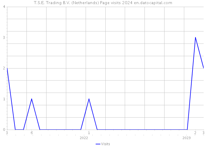T.S.E. Trading B.V. (Netherlands) Page visits 2024 