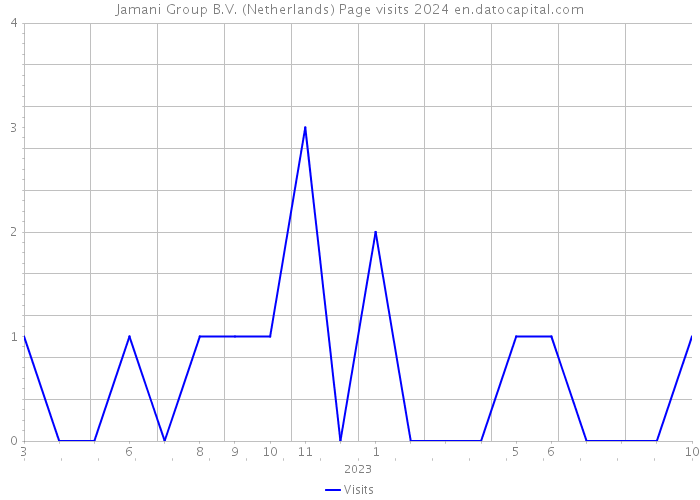 Jamani Group B.V. (Netherlands) Page visits 2024 