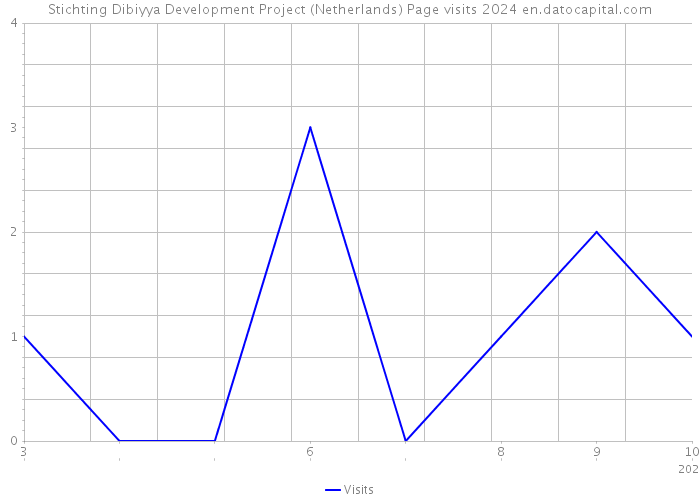 Stichting Dibiyya Development Project (Netherlands) Page visits 2024 