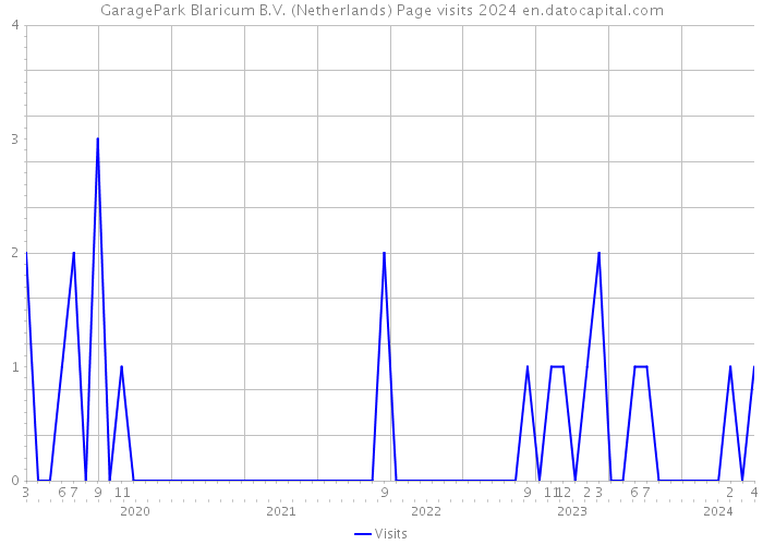 GaragePark Blaricum B.V. (Netherlands) Page visits 2024 