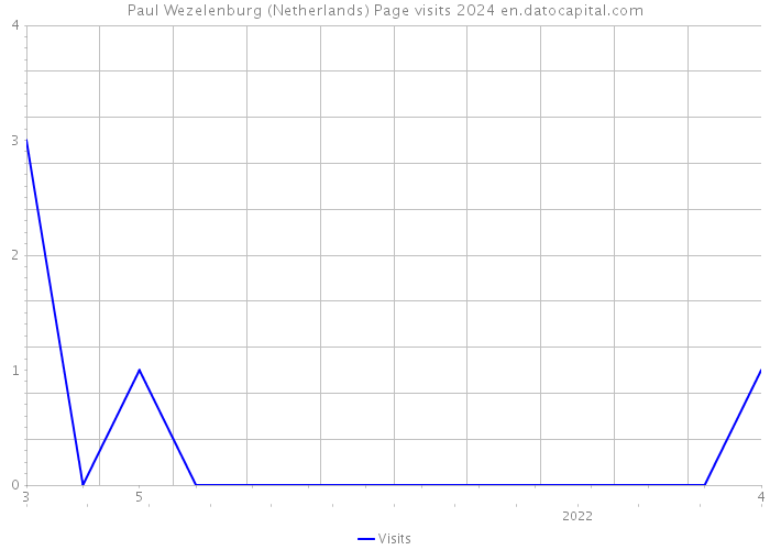 Paul Wezelenburg (Netherlands) Page visits 2024 