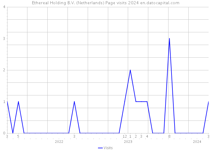 Ethereal Holding B.V. (Netherlands) Page visits 2024 