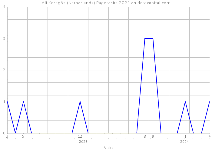 Ali Karagöz (Netherlands) Page visits 2024 