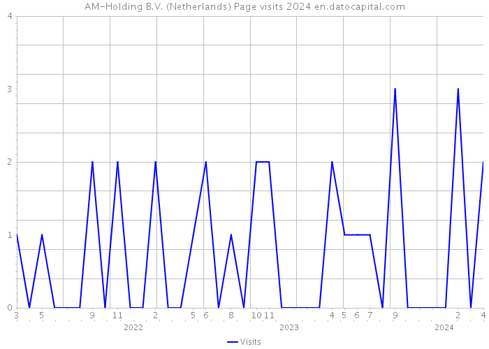 AM-Holding B.V. (Netherlands) Page visits 2024 