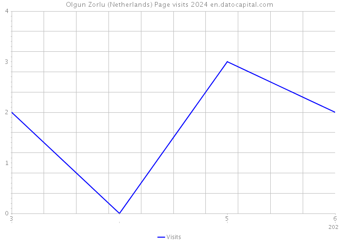 Olgun Zorlu (Netherlands) Page visits 2024 
