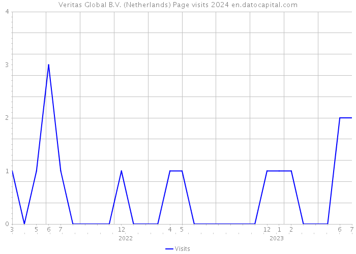 Veritas Global B.V. (Netherlands) Page visits 2024 