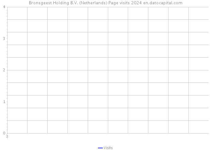Bronsgeest Holding B.V. (Netherlands) Page visits 2024 