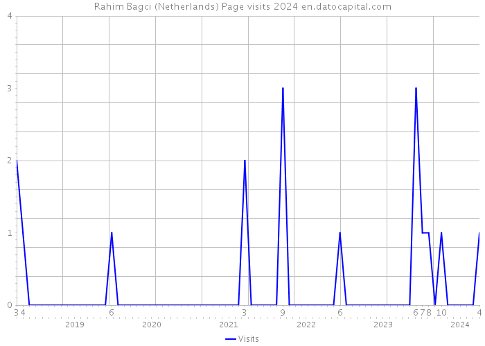 Rahim Bagci (Netherlands) Page visits 2024 