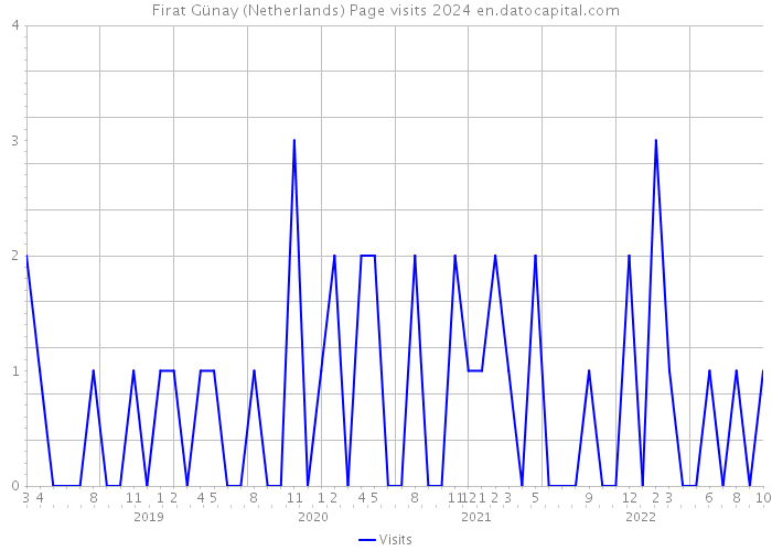 Firat Günay (Netherlands) Page visits 2024 
