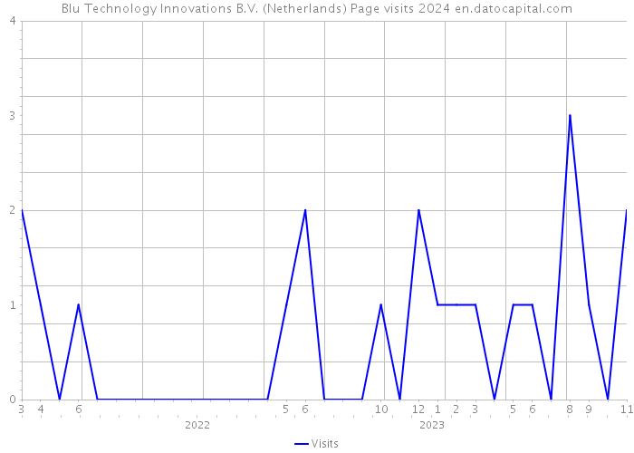 Blu Technology Innovations B.V. (Netherlands) Page visits 2024 