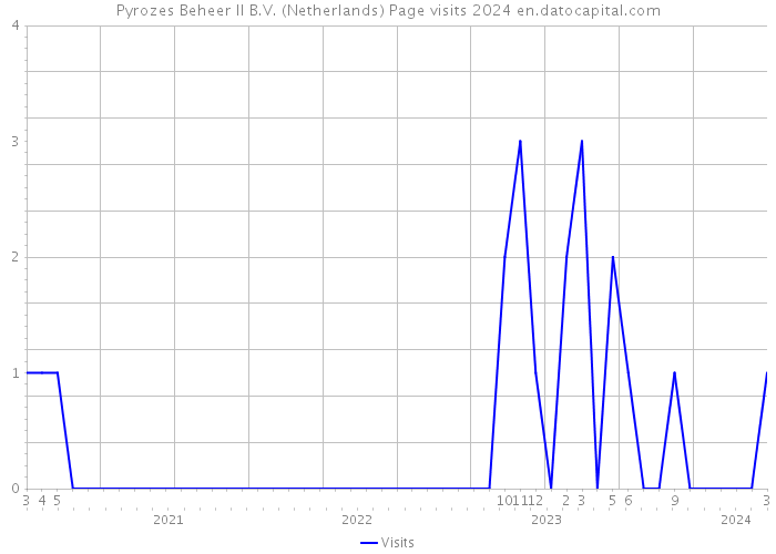 Pyrozes Beheer II B.V. (Netherlands) Page visits 2024 