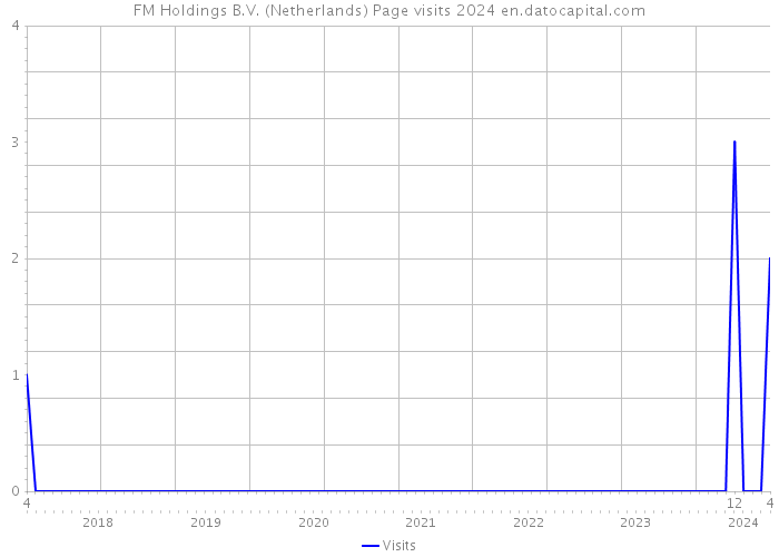 FM Holdings B.V. (Netherlands) Page visits 2024 