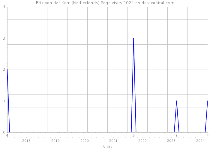 Erik van der Kam (Netherlands) Page visits 2024 
